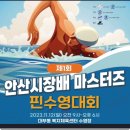 제1회 안산시장배 마스터즈 핀수영대회 이미지