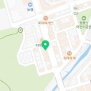 대전고양이분양 비비냥 이미지