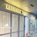 링크애견샵 이미지