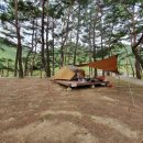 회동솔향캠핑장 이미지