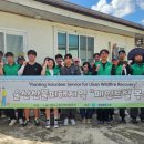 제비스코 이미지