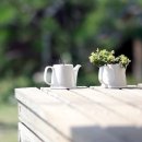 겨울아침창가에서 이미지