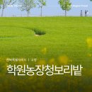 서린농장 | 고창 가볼만한곳 학원농장 청보리밭 주차 입장료 정보