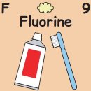 플루오린 이미지