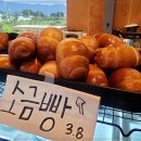 빵동산 네이버블로그