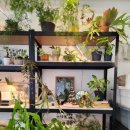 팔거천서로 이미지