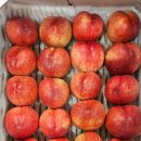 영일농장 이미지