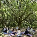 안덕면 명상 이미지