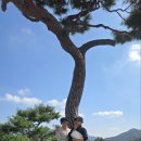 초원 골프스쿨 이미지