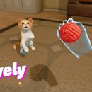 펫(PET)과 함께 이미지