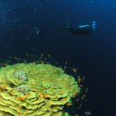 블루홀(BLUE HOLE) 이미지