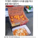 치킨마루 지산신장점 | 보랏빛 좋아한 그대는 내 작은 뜨락이라오