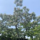 춘희화장품 - 수성구 교학로7길 80 | 춘희화장품