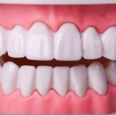 연세우리치과의원 이미지