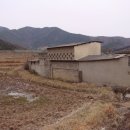 용수로 이미지