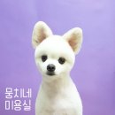 뭉치네 미용실 이미지