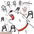 알레아베크