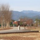동수리 인문학마을 협동조합 야영장 이미지