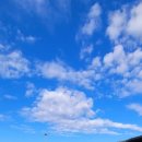 부여백제(공주)주유소 화장실 이미지