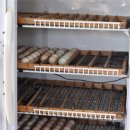 본인농장 이미지