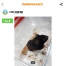 조재진동물병원 이미지