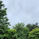도랑가 | 반고흐전(대전) 보고 온 후기~~~~