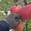 기특이네 농장 이미지