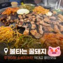 🐷 [용인맛집] 단골 삼총사가 인정하는 처인구 찐 맛집 '불타는 꿀돼지' 솔직 후기 🔥❤️