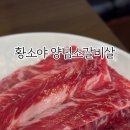 심석진의 황소야 이미지