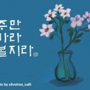 2024.1.7 주보자료 이미지