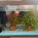 발산어르신행복센터 이미지