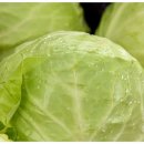 참좋은내과의원 이미지