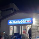 아는형님게스트하우스 | [제주맛집/서귀포맛집/대정맛집] 고등어회 전문 미영이네식당 / 흑돼지 근고기 전문점 마녀상회
