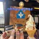 자유여행] 시라카와고 디저트 푸딩 가게 푸딩하우스 푸딩,아이스크림 웨이팅 영업시간 휴무일 후기