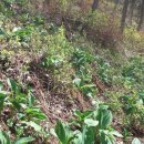 오솔길 농장 이미지