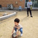 여주-1014 이미지