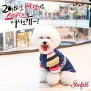 어서오시개 이미지