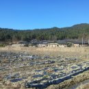 지리산꾸지뽕농장 이미지