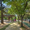창원 봉림사지 | [한마음 치매극복 걷기 행사] 후기, 용지문화공원과 용지(호수)공원, 용지호수의 밤 풍경, 황선하 시인...