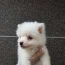 멋지개 예쁘개 이미지