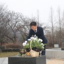 3.1만세로 이미지