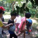 목포상동초등학교 이미지