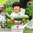 한강가족농장 이미지