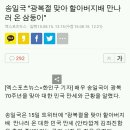 송일국 "광복절 맞아 할아버지배 만나러 온 삼둥이"에 달린 다음 댓글들(기사보다 댓글이 진실을 말해줌) 이미지