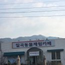 칠곡동물체험카페 | 경북 칠곡 ‘동물체험카페’ 내돈내산 방문 후기 아기 첫 동물 만남 성공적!