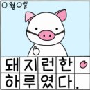 둔촌정육식당 이미지