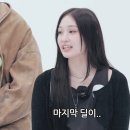 애니