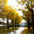 문태고등학교 이미지