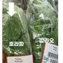 방콕 수상시장 꼭 먹어봐야하는 음식 식사 메뉴 후기
