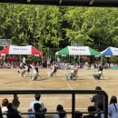 영동일고등학교 내 이미지